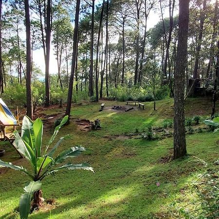Cabana Rustica A 1Km De Cascada Mazamitla Exteriör bild