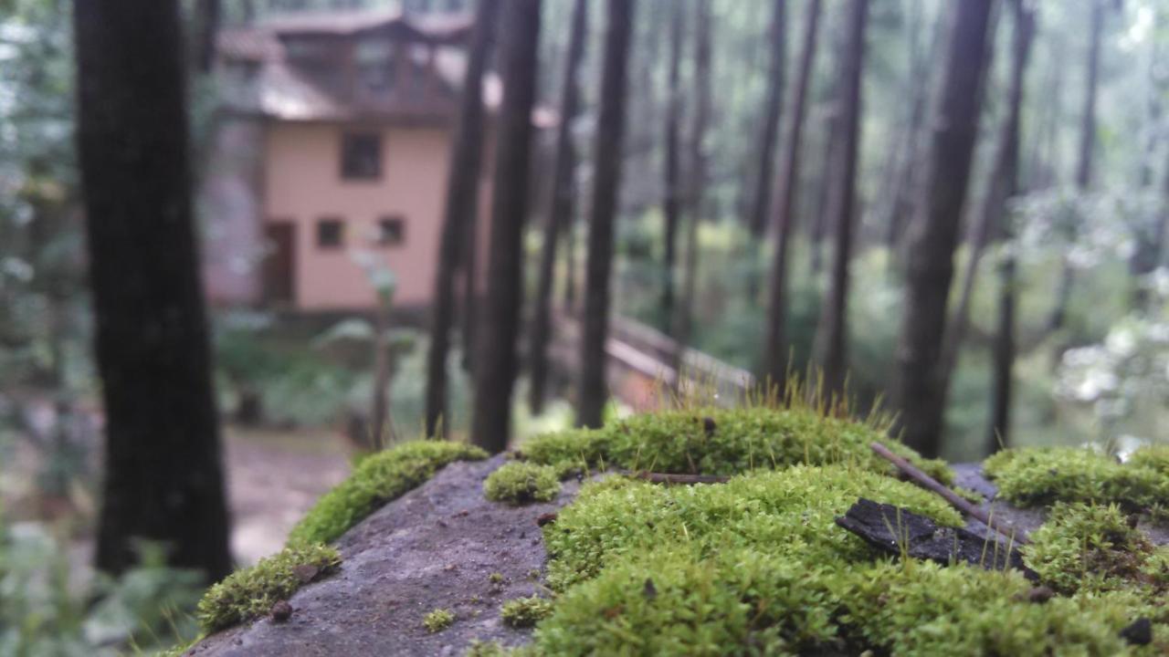 Cabana Rustica A 1Km De Cascada Mazamitla Exteriör bild