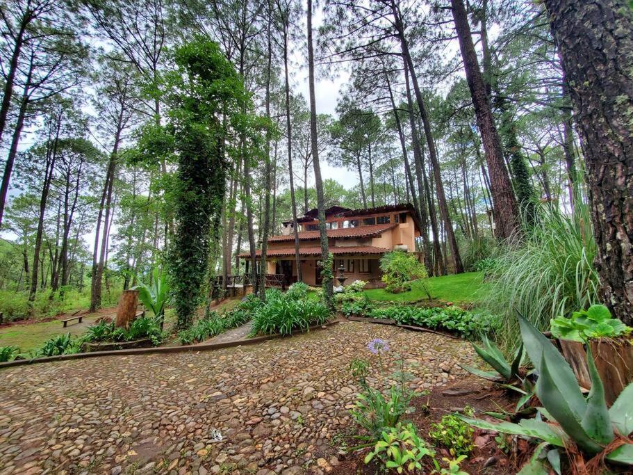 Cabana Rustica A 1Km De Cascada Mazamitla Exteriör bild