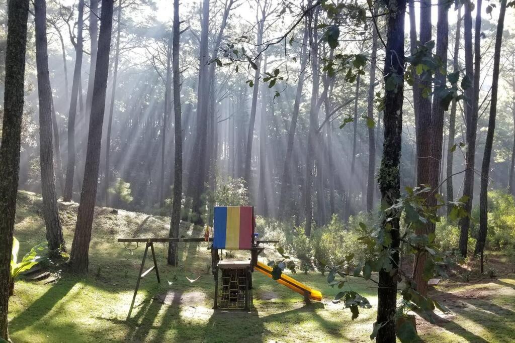 Cabana Rustica A 1Km De Cascada Mazamitla Exteriör bild