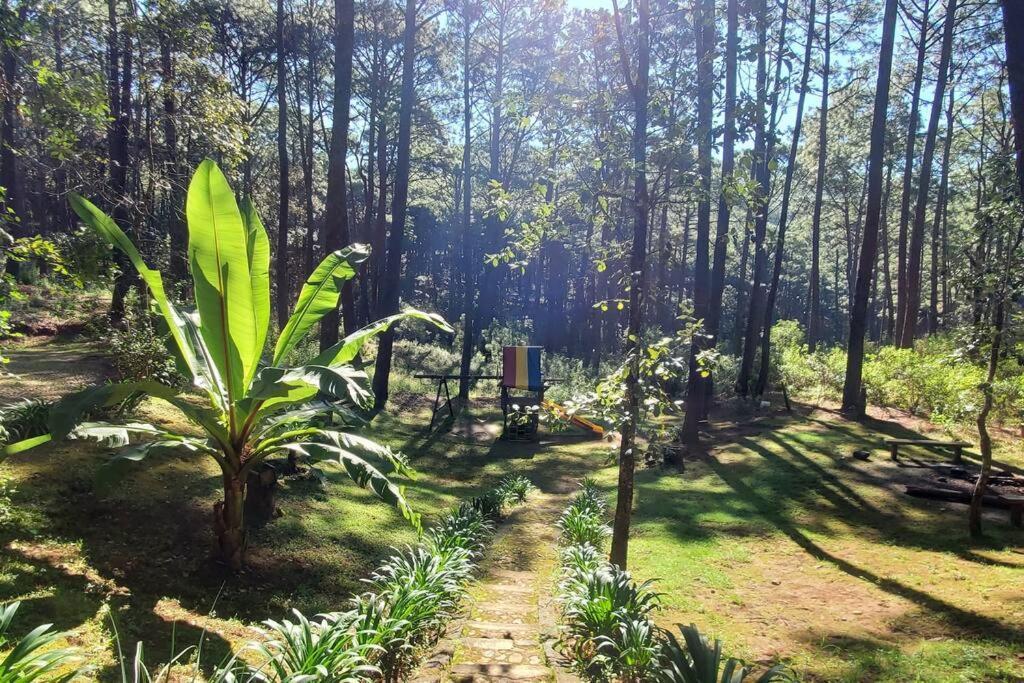 Cabana Rustica A 1Km De Cascada Mazamitla Exteriör bild